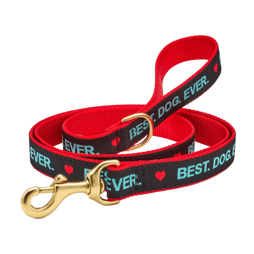 Red and black dog leash with 'Best Dog Ever' text and heart symbols on a black background
