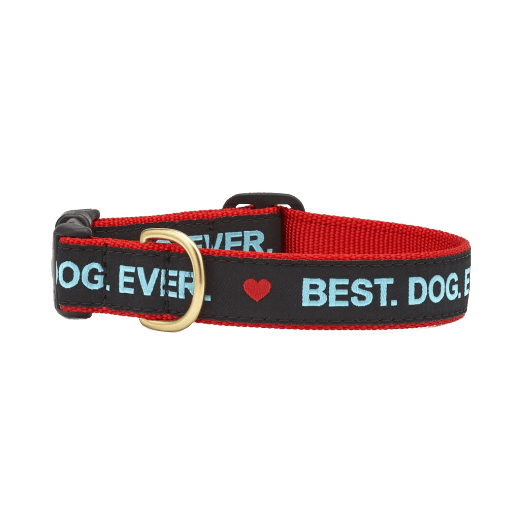 Red and black dog collar with 'Best Dog Ever' text on a black background