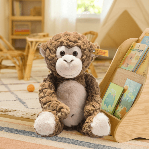 Plush monkey toy sitting on a rug next to a wooden bookshelf with children's books.