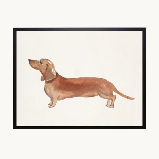 A framed watercolor art print of a dachshund dog in profile, featuring a light brown dog on an off-white background with a thin black frame.