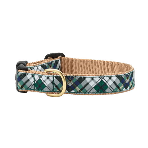 Dog collar with blue, green and gold plaid pattern 