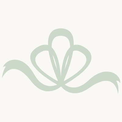 Decorative light green bow on neutral background 