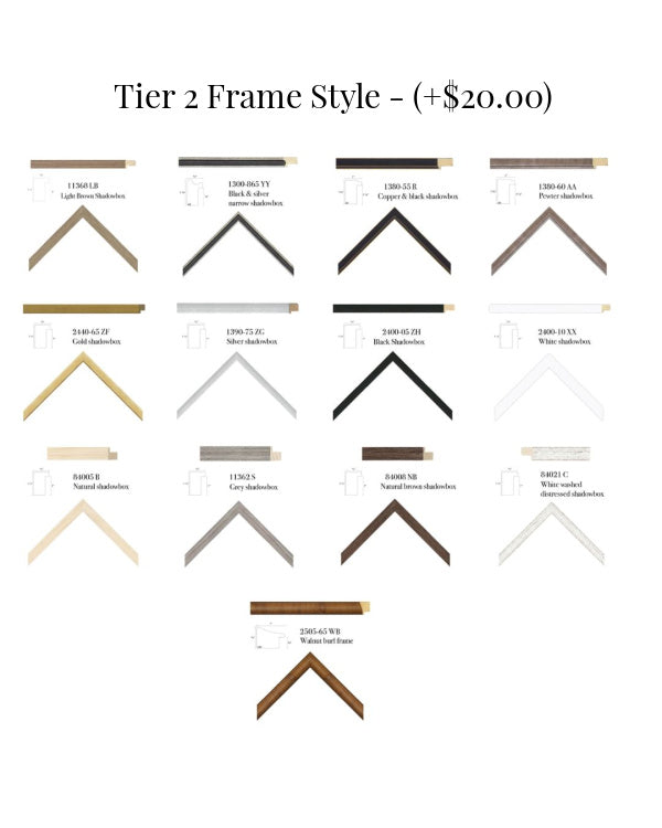 Frame Options that will incur an additional fee