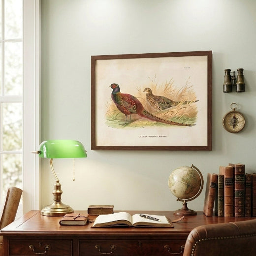 Framed antique style natural history print illustration of a pair of Caucasian pheasants in field grass with a dark wood frame.